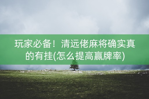 玩家必备！清远佬麻将确实真的有挂(怎么提高赢牌率)