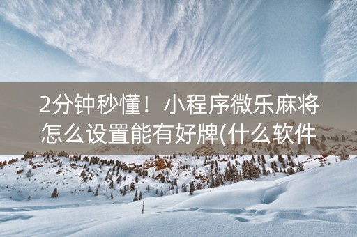 2分钟秒懂！小程序微乐麻将怎么设置能有好牌(什么软件可以赢)