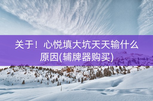 关于！心悦填大坑天天输什么原因(辅牌器购买)