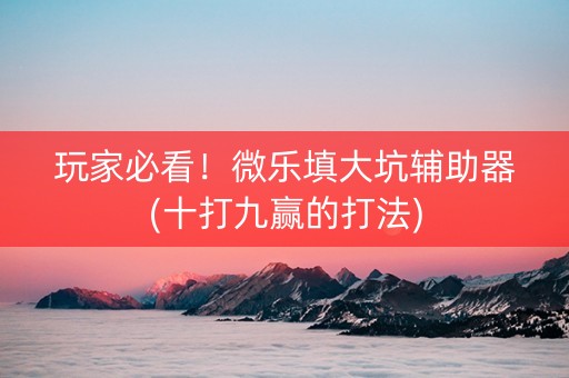 玩家必看！微乐填大坑辅助器(十打九赢的打法)