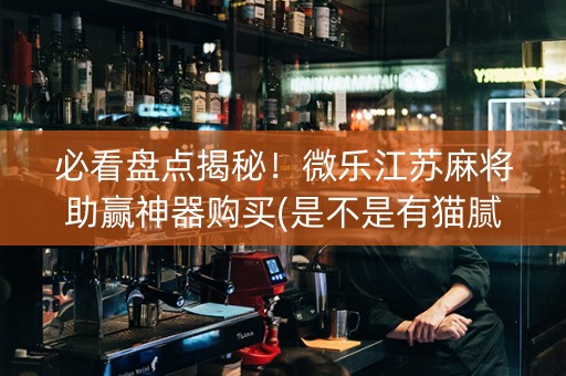 必看盘点揭秘！微乐江苏麻将助赢神器购买(是不是有猫腻)