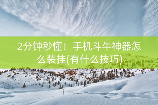 2分钟秒懂！手机斗牛神器怎么装挂(有什么技巧)