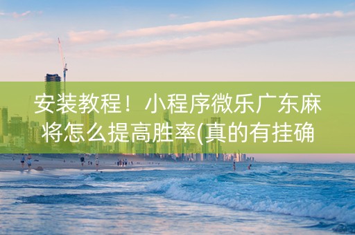 安装教程！小程序微乐广东麻将怎么提高胜率(真的有挂确实有挂)