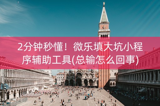 2分钟秒懂！微乐填大坑小程序辅助工具(总输怎么回事)