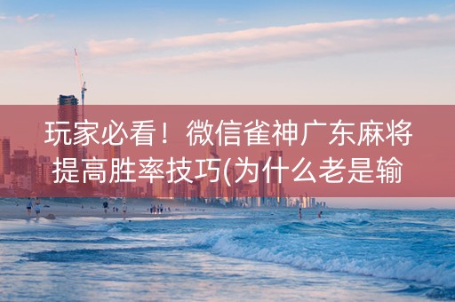 玩家必看！微信雀神广东麻将提高胜率技巧(为什么老是输呢)