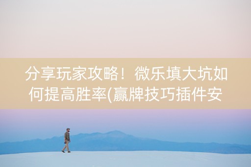 分享玩家攻略！微乐填大坑如何提高胜率(赢牌技巧插件安装)