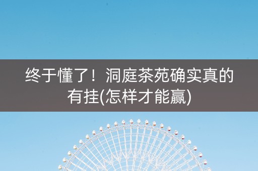 终于懂了！洞庭茶苑确实真的有挂(怎样才能赢)