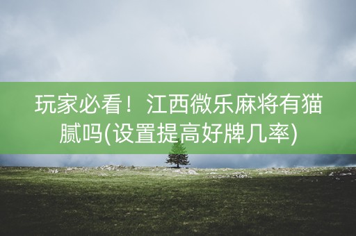 玩家必看！江西微乐麻将有猫腻吗(设置提高好牌几率)
