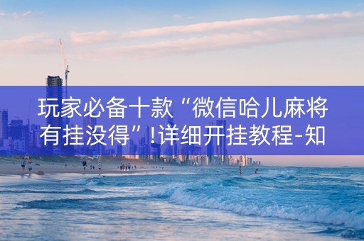 玩家必备十款“微信哈儿麻将有挂没得”!详细开挂教程-知乎