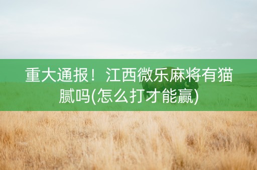重大通报！江西微乐麻将有猫腻吗(怎么打才能赢)