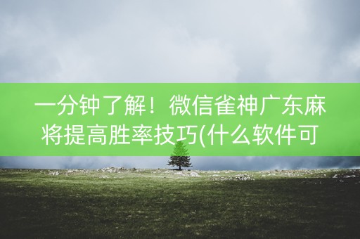 一分钟了解！微信雀神广东麻将提高胜率技巧(什么软件可以赢)