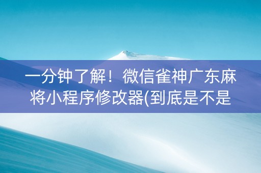 一分钟了解！微信雀神广东麻将小程序修改器(到底是不是有挂)