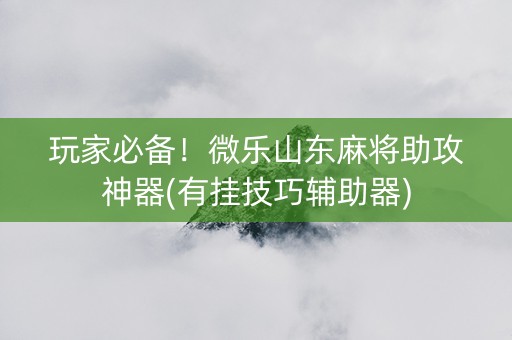 玩家必备！微乐山东麻将助攻神器(有挂技巧辅助器)