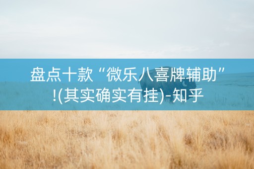 盘点十款“微乐八喜牌辅助”!(其实确实有挂)-知乎