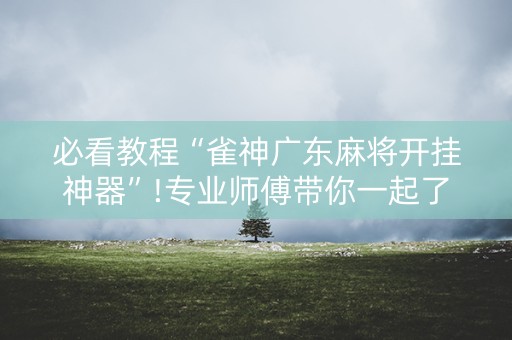 必看教程“雀神广东麻将开挂神器”!专业师傅带你一起了解（详细教程）-知乎
