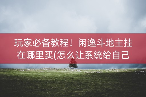 玩家必备教程！闲逸斗地主挂在哪里买(怎么让系统给自己好牌)