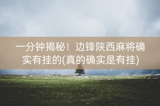 一分钟揭秘！边锋陕西麻将确实有挂的(真的确实是有挂)