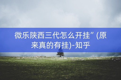 微乐陕西三代怎么开挂”(原来真的有挂)-知乎
