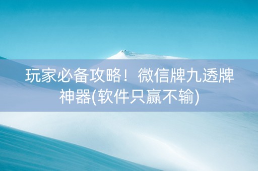 玩家必备攻略！微信牌九透牌神器(软件只赢不输)