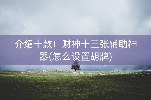 介绍十款！财神十三张辅助神器(怎么设置胡牌)