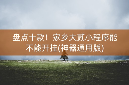 盘点十款！家乡大贰小程序能不能开挂(神器通用版)