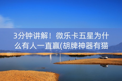 3分钟讲解！微乐卡五星为什么有人一直赢(胡牌神器有猫腻吗)