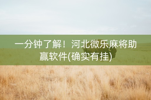 一分钟了解！河北微乐麻将助赢软件(确实有挂)