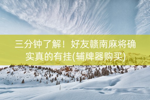 三分钟了解！好友赣南麻将确实真的有挂(辅牌器购买)