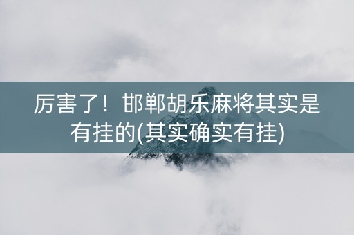 厉害了！邯郸胡乐麻将其实是有挂的(其实确实有挂)