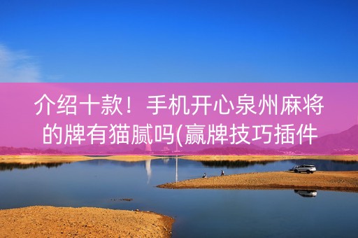介绍十款！手机开心泉州麻将的牌有猫腻吗(赢牌技巧插件安装)