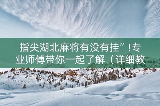 指尖湖北麻将有没有挂”!专业师傅带你一起了解（详细教程）-知乎