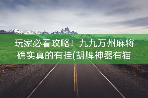 玩家必看攻略！九九万州麻将确实真的有挂(胡牌神器有猫腻吗)