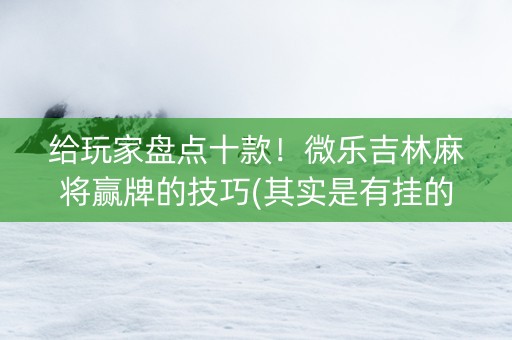 给玩家盘点十款！微乐吉林麻将赢牌的技巧(其实是有挂的)