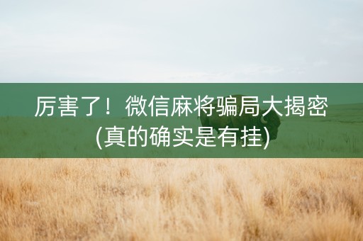 厉害了！微信麻将骗局大揭密(真的确实是有挂)