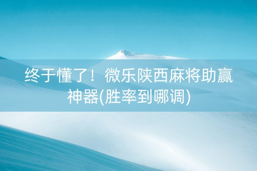 终于懂了！微乐陕西麻将助赢神器(胜率到哪调)
