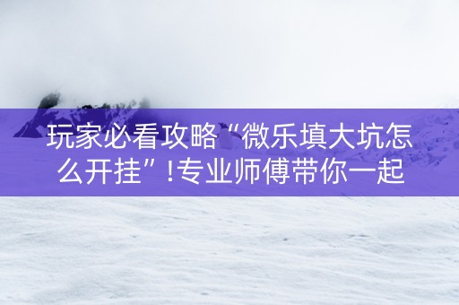 玩家必看攻略“微乐填大坑怎么开挂”!专业师傅带你一起了解（详细教程）-知乎