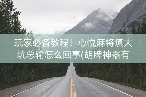 玩家必备教程！心悦麻将填大坑总输怎么回事(胡牌神器有猫腻吗)
