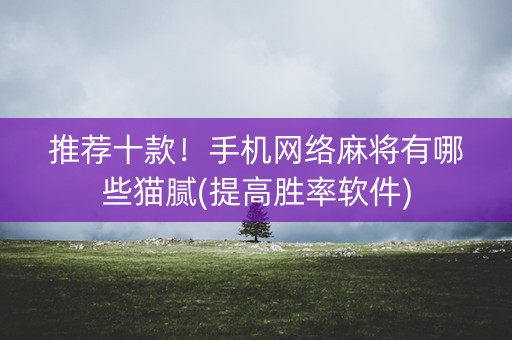 推荐十款！手机网络麻将有哪些猫腻(提高胜率软件)