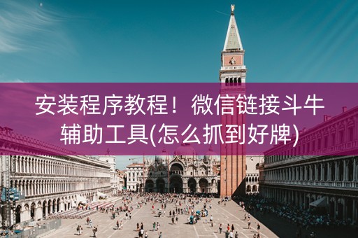 安装程序教程！微信链接斗牛辅助工具(怎么抓到好牌)