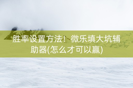 胜率设置方法！微乐填大坑辅助器(怎么才可以赢)