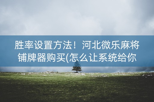 胜率设置方法！河北微乐麻将铺牌器购买(怎么让系统给你发好牌)
