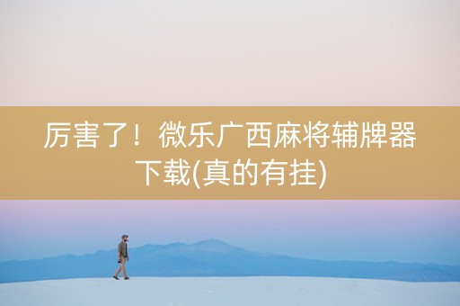 厉害了！微乐广西麻将辅牌器下载(真的有挂)
