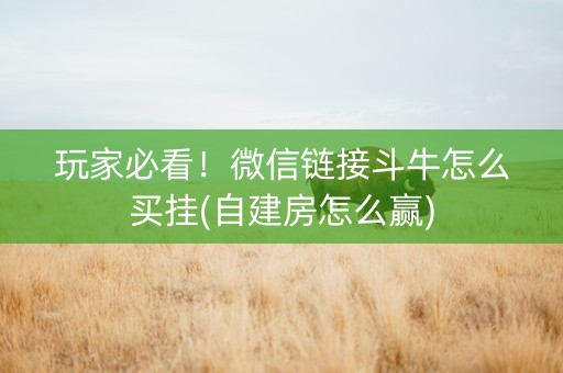 玩家必看！微信链接斗牛怎么买挂(自建房怎么赢)