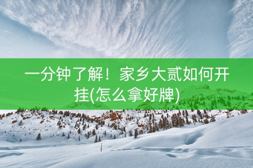 一分钟了解！家乡大贰如何开挂(怎么拿好牌)