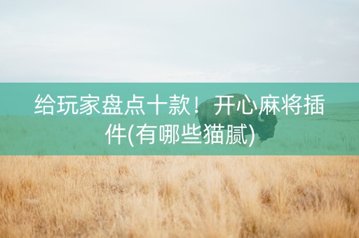 给玩家盘点十款！开心麻将插件(有哪些猫腻)