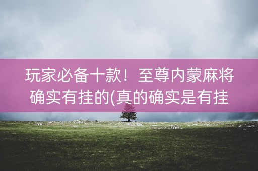 玩家必备十款！至尊内蒙麻将确实有挂的(真的确实是有挂)