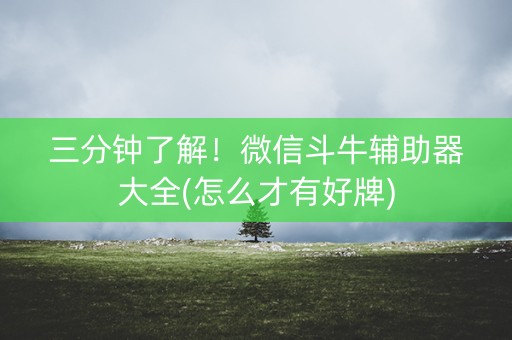 三分钟了解！微信斗牛辅助器大全(怎么才有好牌)