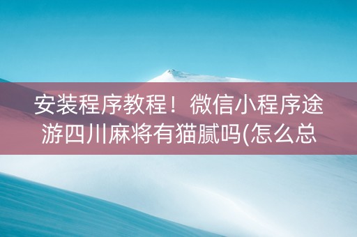 安装程序教程！微信小程序途游四川麻将有猫腻吗(怎么总输有什么猫腻)