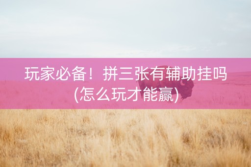 玩家必备！拼三张有辅助挂吗(怎么玩才能赢)