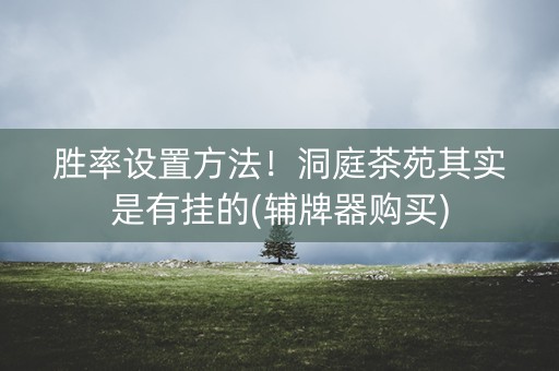 胜率设置方法！洞庭茶苑其实是有挂的(辅牌器购买)